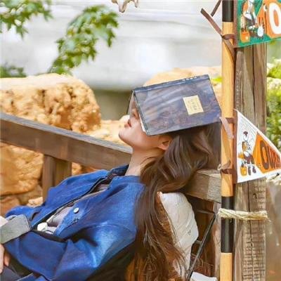 星期天的客人们